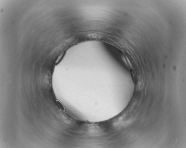 X0000089440424200707061413