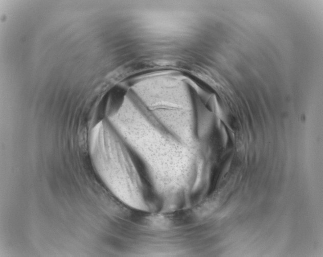 X0000089440425200707061413