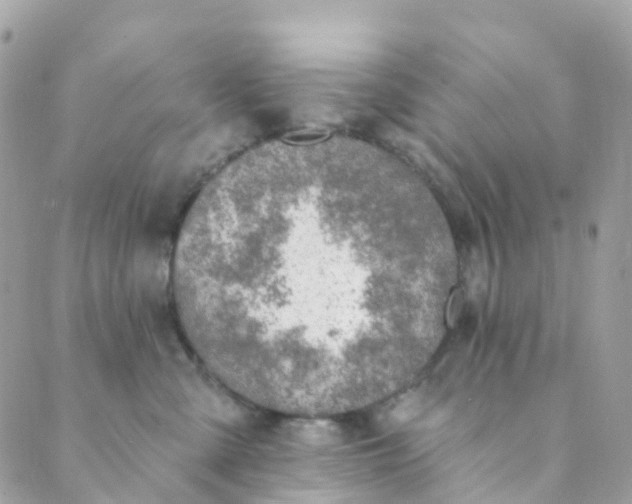 X0000089440427200707061413