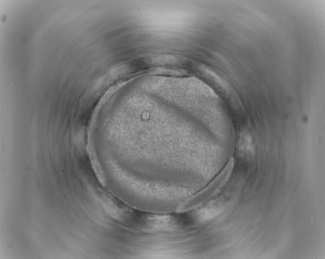 X0000089440428200707061413