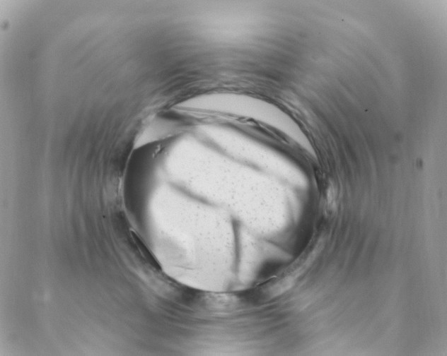 X0000089440429200707061413