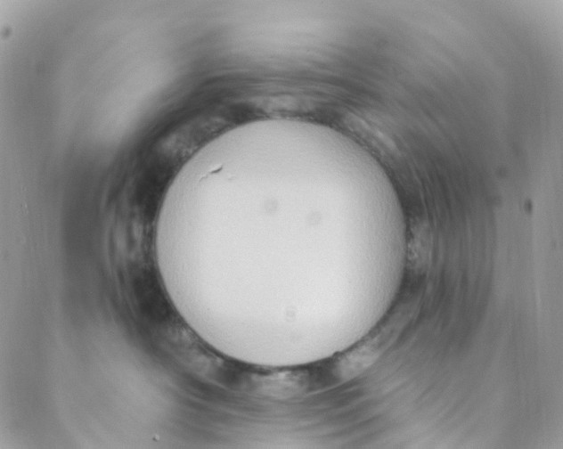 X0000089440430200707061413