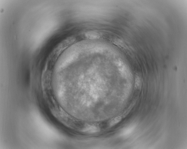 X0000089440431200707061413