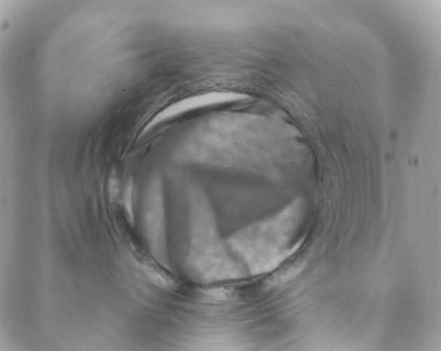 X0000089440432200707061413