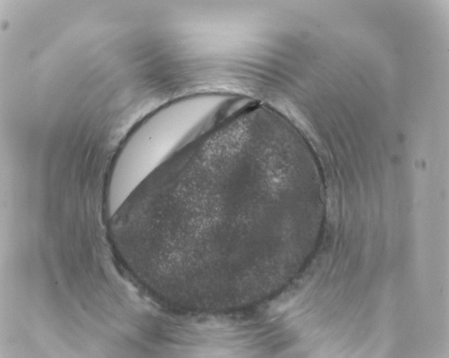 X0000089440434200707061412