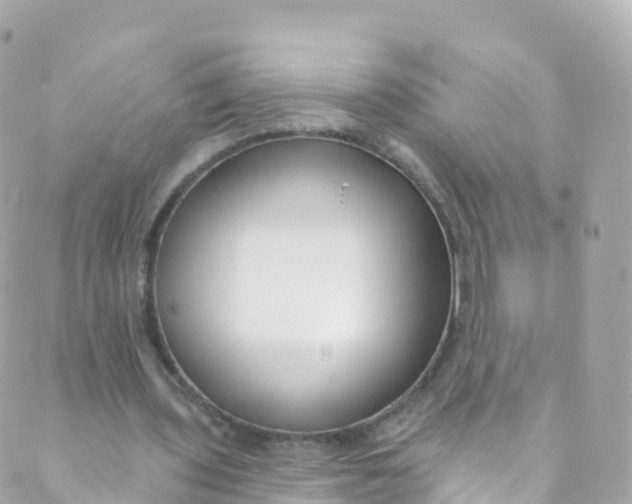 X0000089440435200707061412