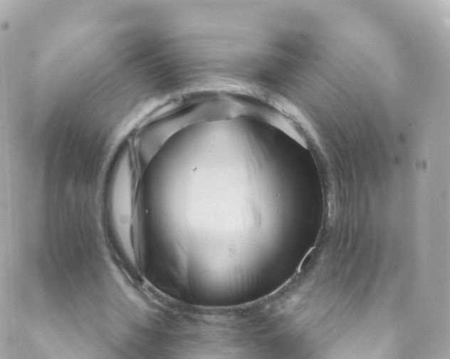 X0000089440436200707061412