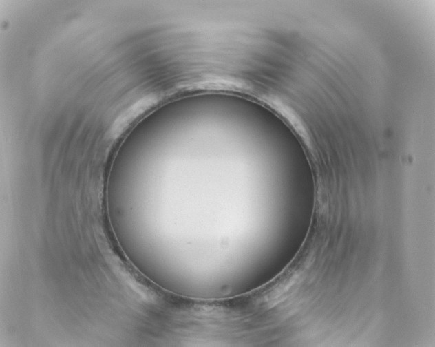 X0000089440437200707061412