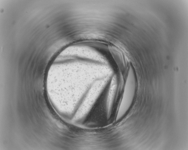 X0000089440438200707061412