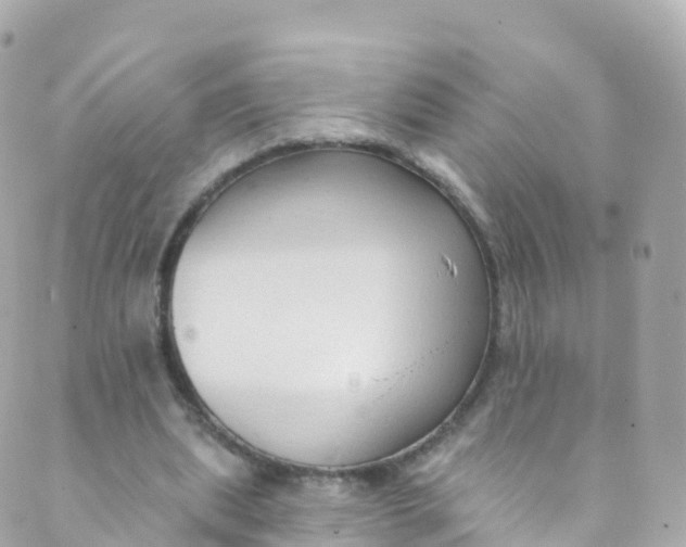 X0000089440439200707061412