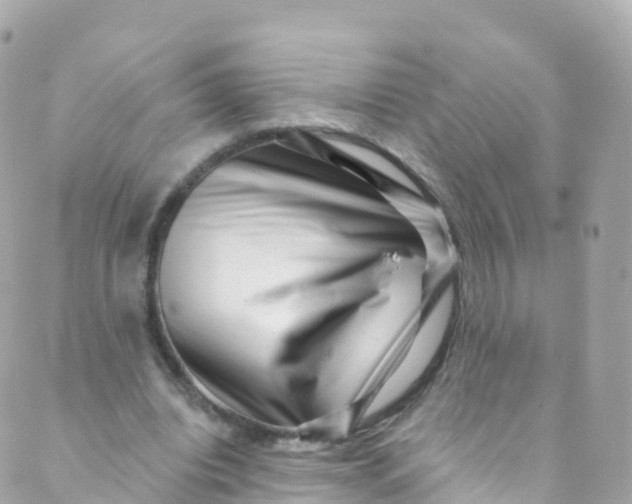 X0000089440440200707061412