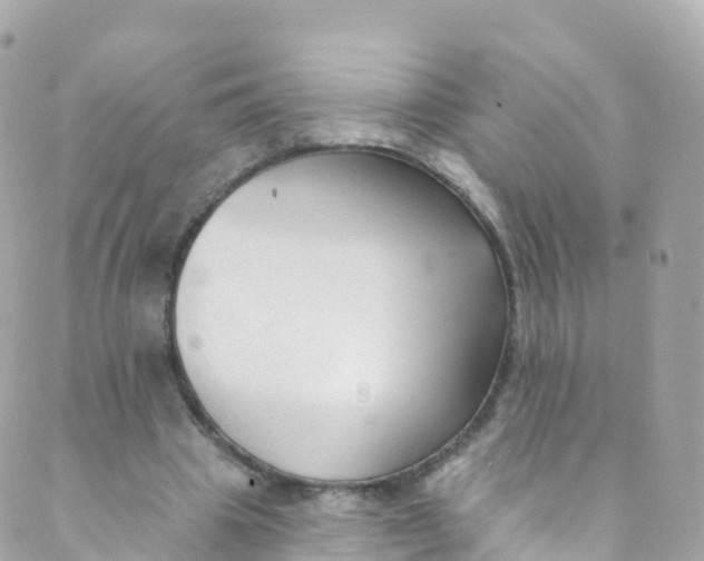 X0000089440441200707061412