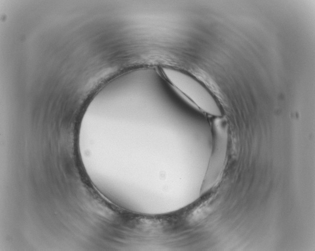 X0000089440442200707061412