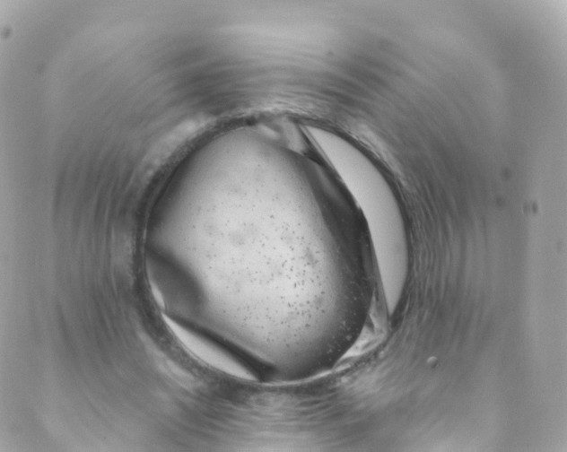 X0000089440444200707061412