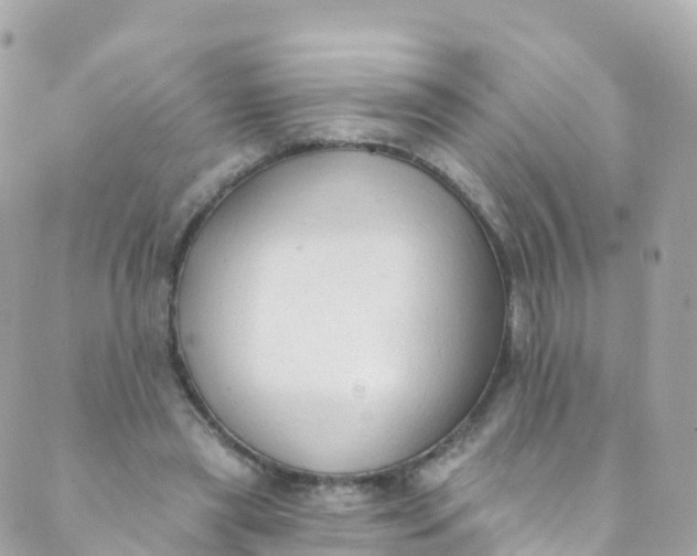 X0000089440445200707061412