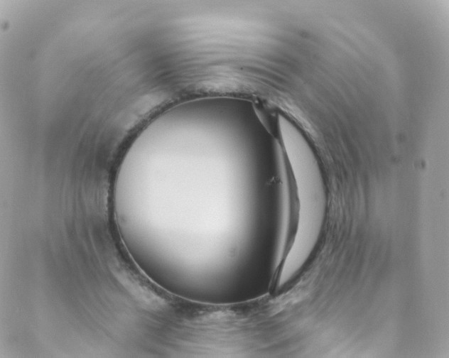 X0000089440446200707061412