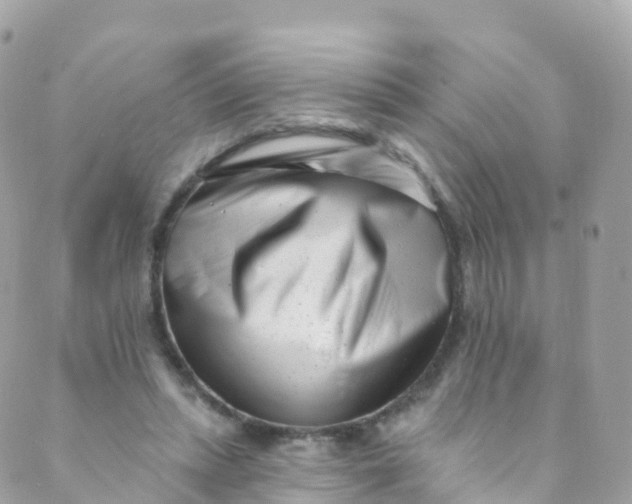 X0000089440447200707061412