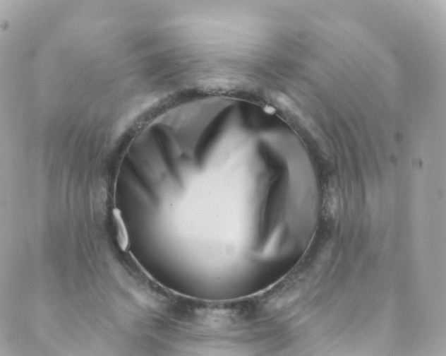 X0000089440448200707061412