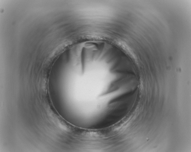 X0000089440449200707061412