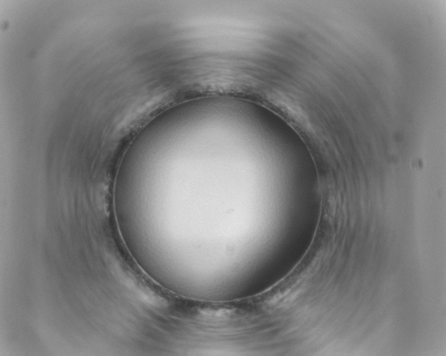 X0000089440450200707061412