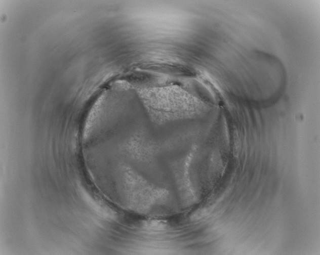 X0000089440451200707061412