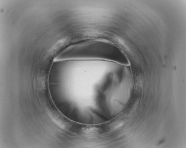 X0000089440452200707061412