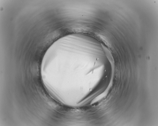 X0000089440453200707061412