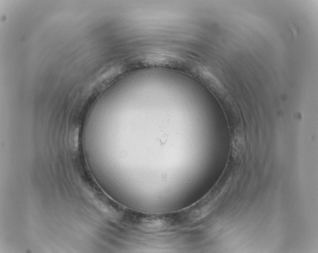 X0000089440454200707061412