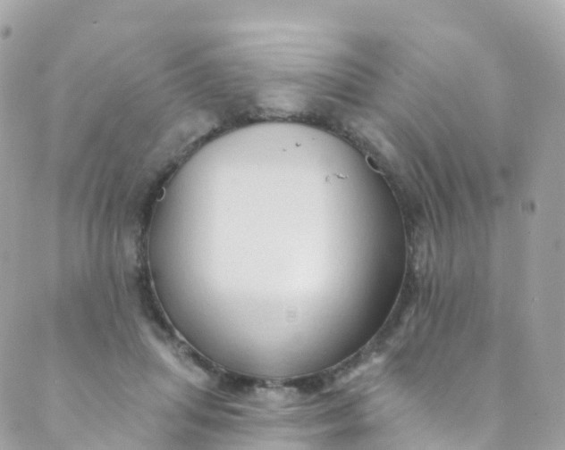 X0000089440455200707061412