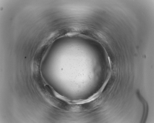 X0000089440456200707061412