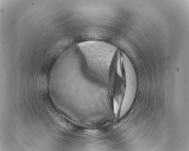 X0000089440457200707061412