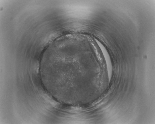 X0000089440458200707061412