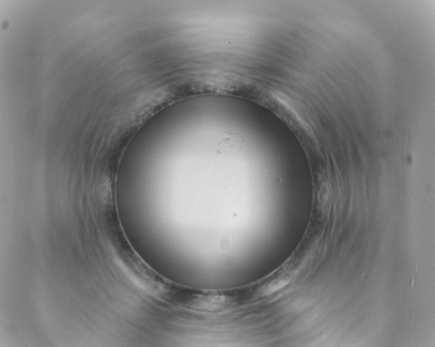 X0000089440459200707061413