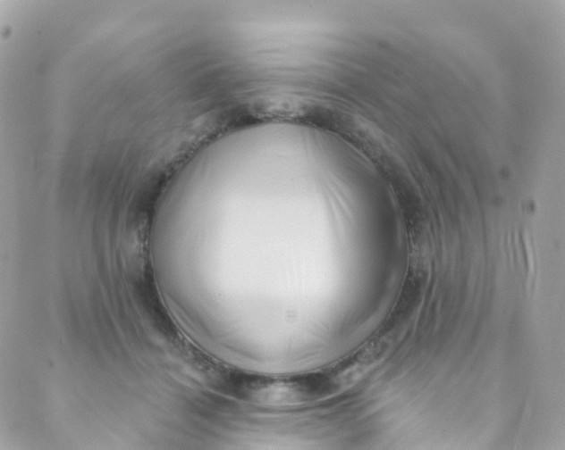 X0000089440460200707061413