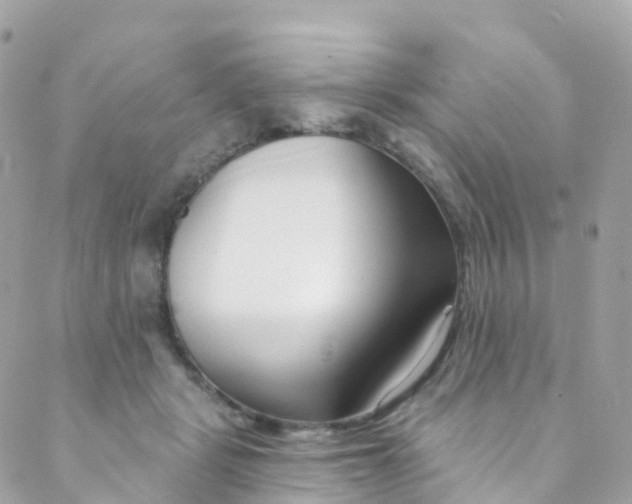 X0000089440461200707061413