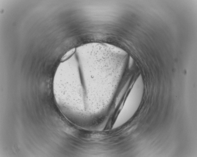 X0000089440462200707061413