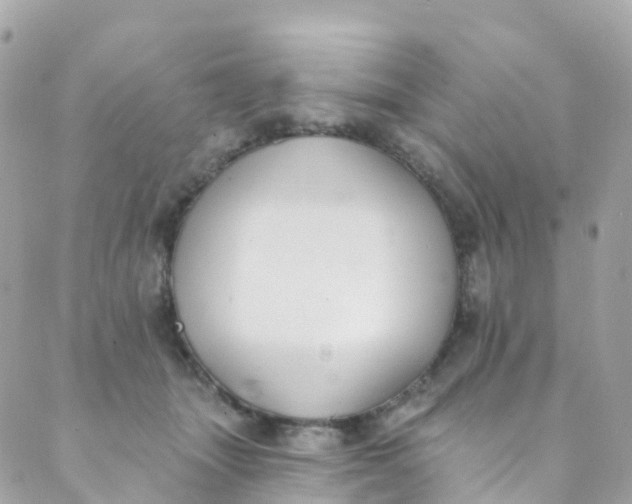 X0000089440463200707061413