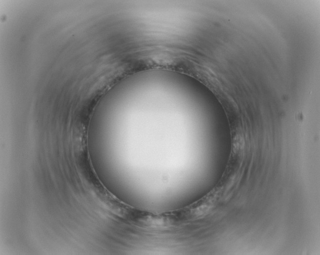 X0000089440464200707061413