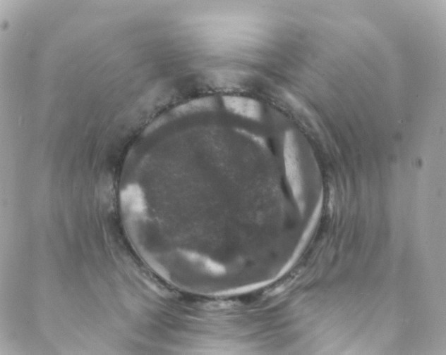 X0000089440465200707061413