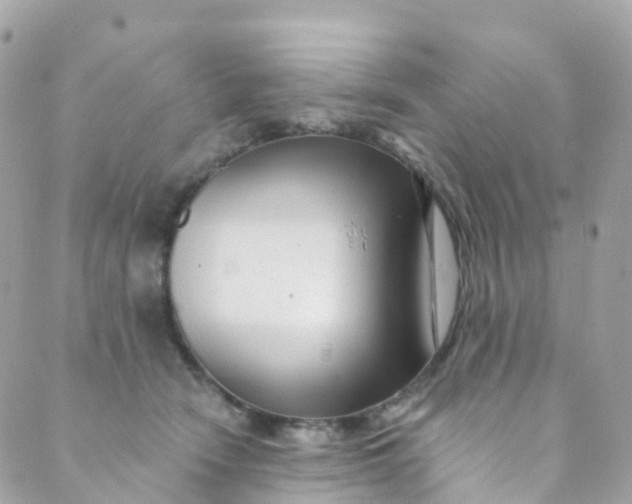 X0000089440466200707061413