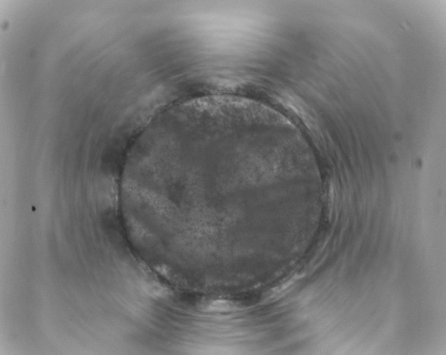 X0000089440467200707061413