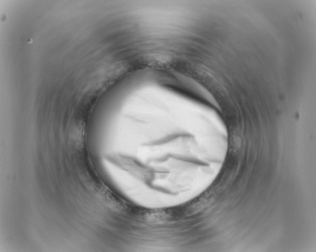 X0000089440468200707061413