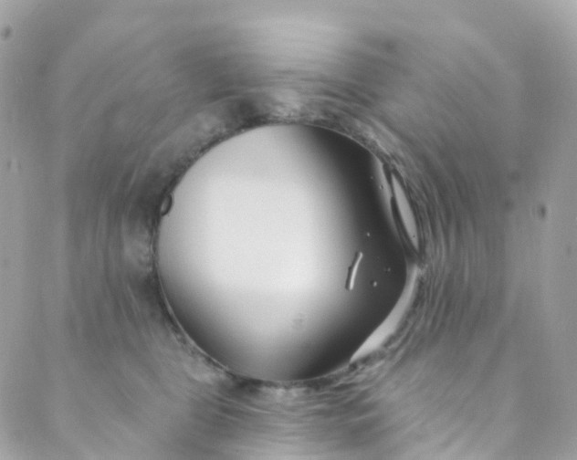 X0000089440469200707061413