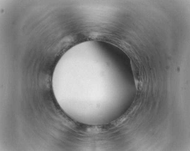 X0000089440470200707061413