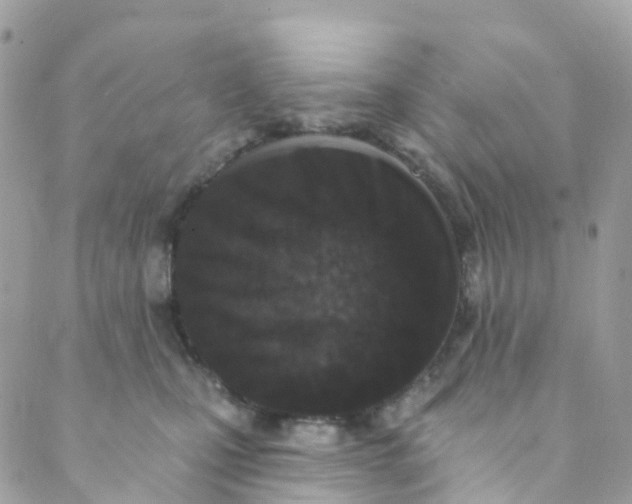 X0000089440471200707061413