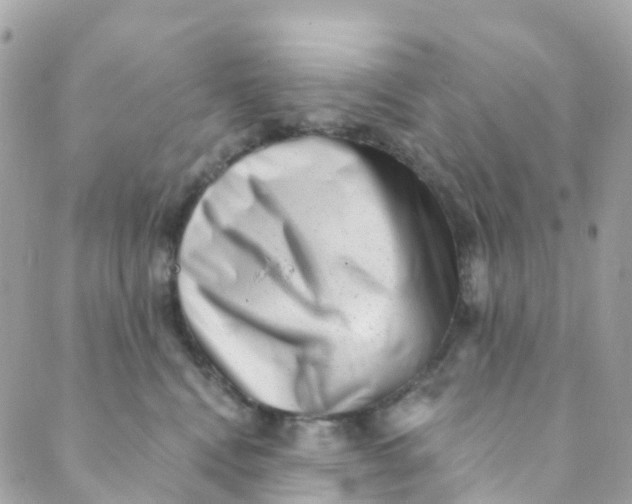 X0000089440472200707061413