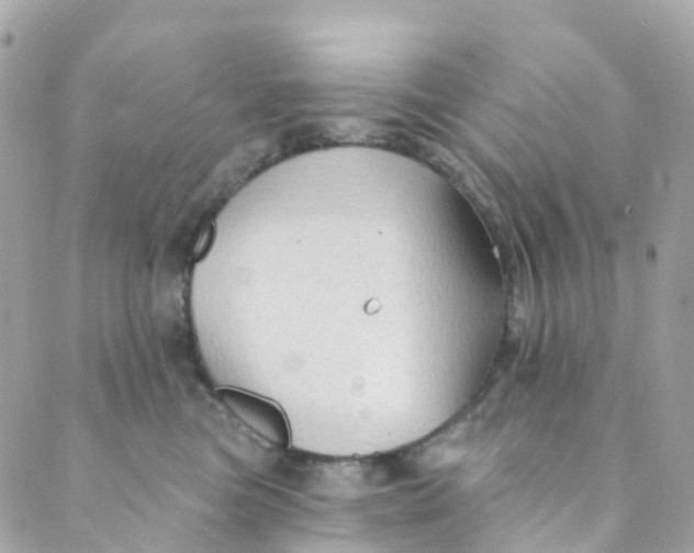 X0000089440473200707061413