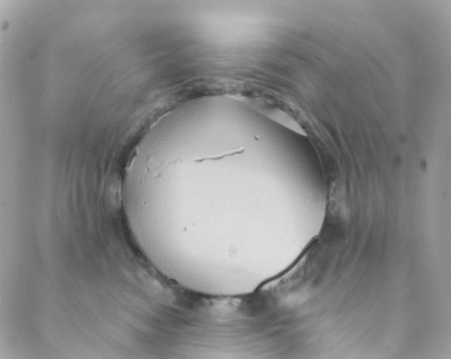 X0000089440474200707061413