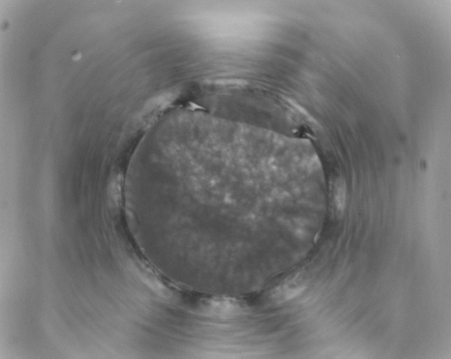 X0000089440475200707061413