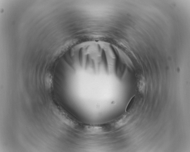 X0000089440476200707061413